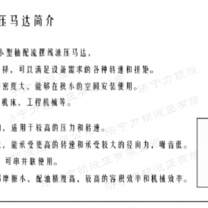 完美体育（中国大陆）官方网站
侧油口系列马达