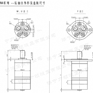 完美体育（中国大陆）官方网站
后油口系列马达