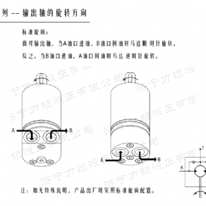 完美体育（中国大陆）官方网站
后油口系列马达